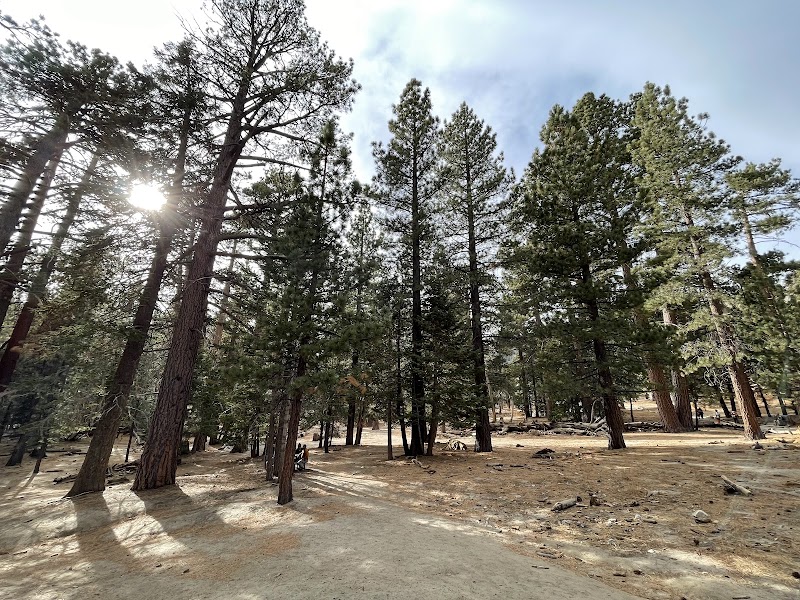 San Bernardino National Forest