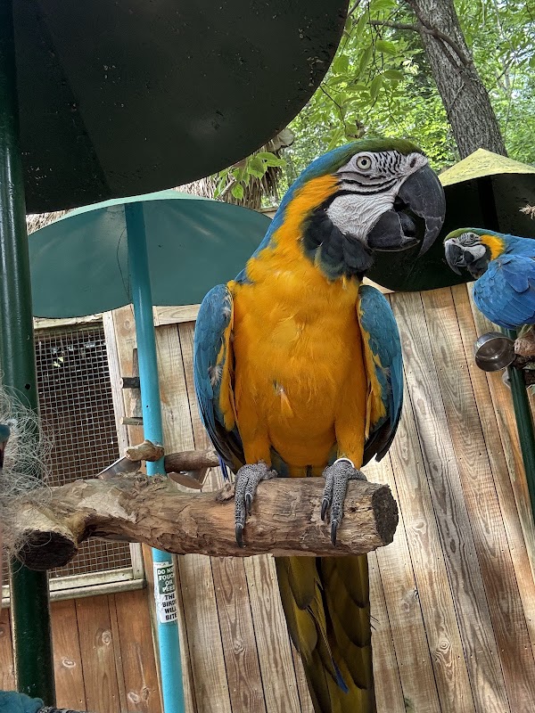 Parrot Mountain Road Entrance Sign