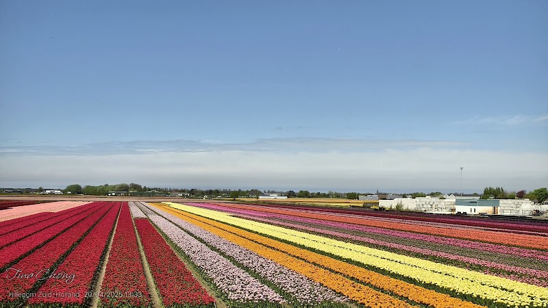 Netherlands