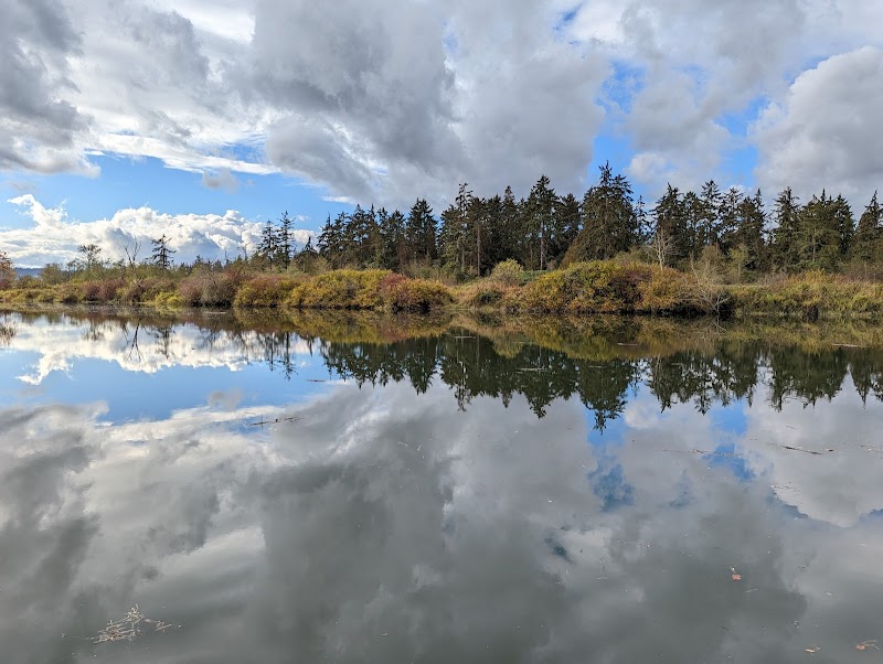 Fobes-Ebey Slough Dike Road Trail