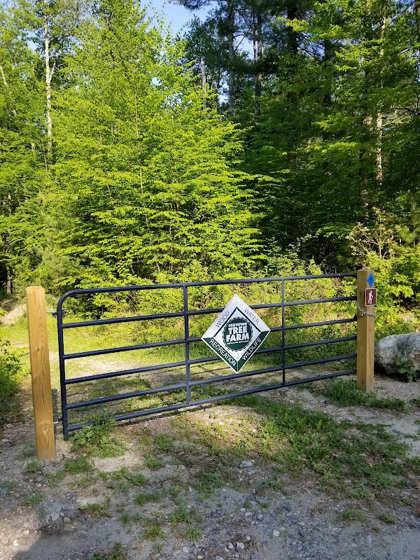 Costa Conservation Area Parking