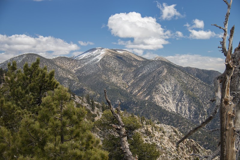 San Gorgonio Wilderness