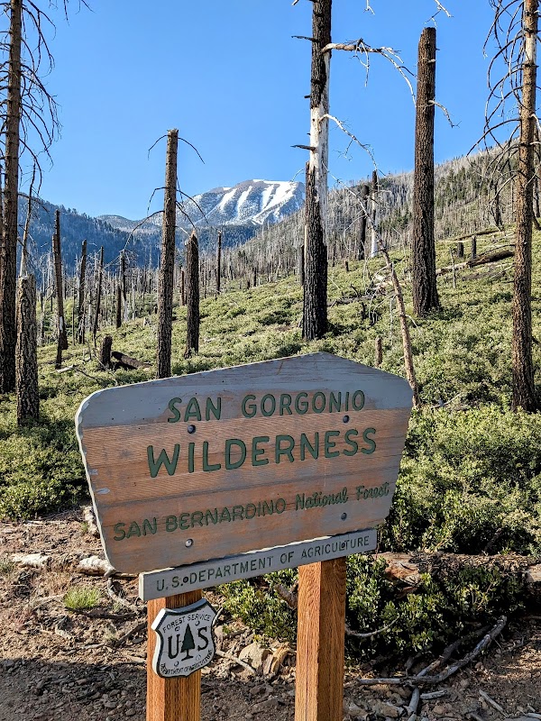 San Gorgonio Wilderness