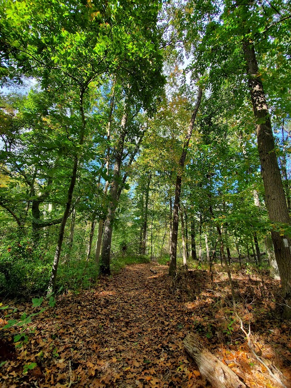 Little Woods on the Rancocas