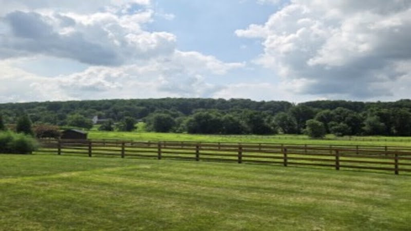 Barrel Creek Horse Sanctuary