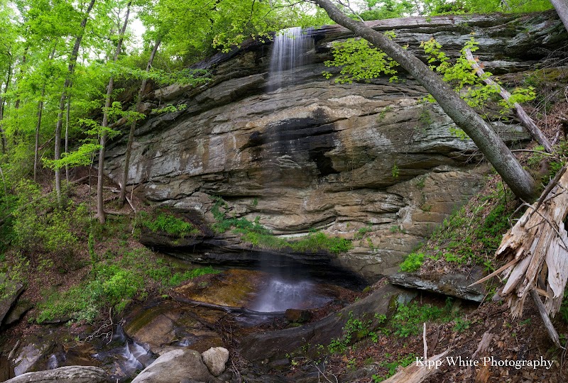 Middle Rachael Creek Falls Trailhead parking
