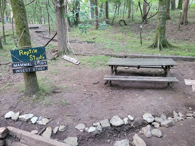 Craig Conservation Yard