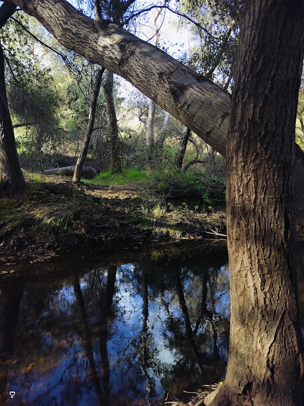 Marian Bear Open Space Park