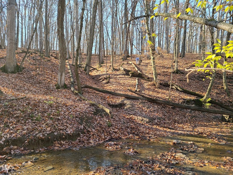 Blendon Ravines Metro Park