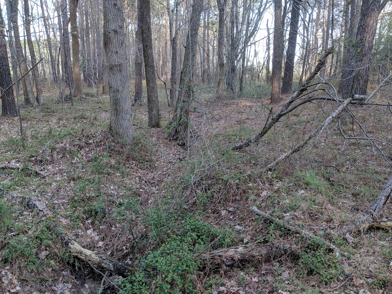 Ledge Creek Forest Conservation Area - Trailhead #1