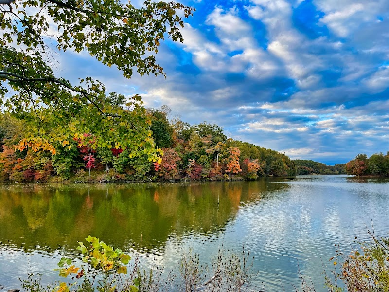 Needwood hiker-biker trail