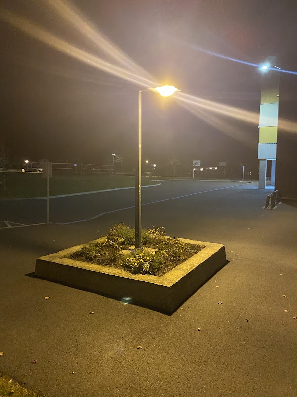 Le carré de végétation