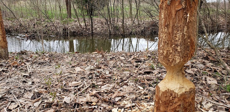 Five Points and Edgewood Park