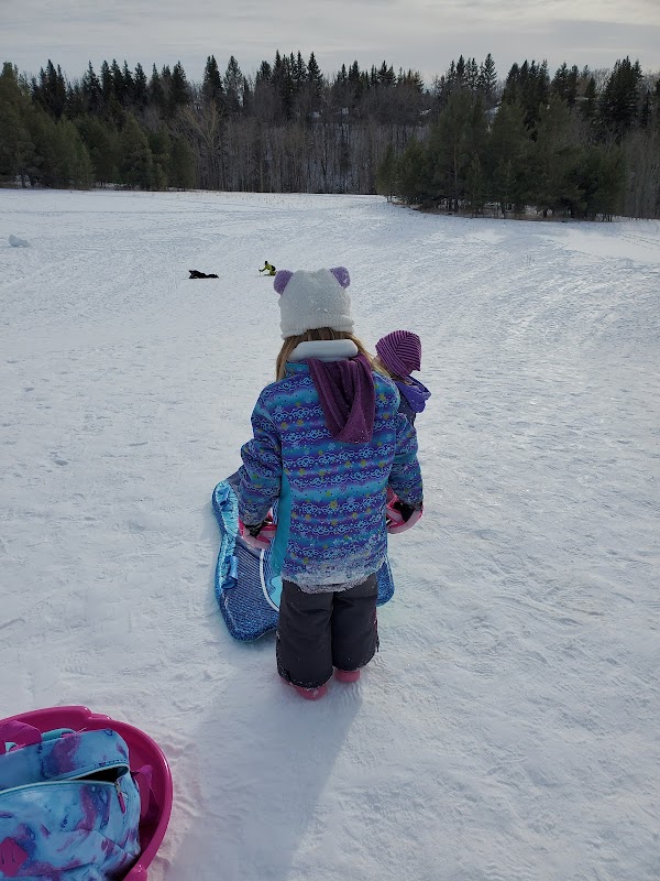 Fulton Ravine Park