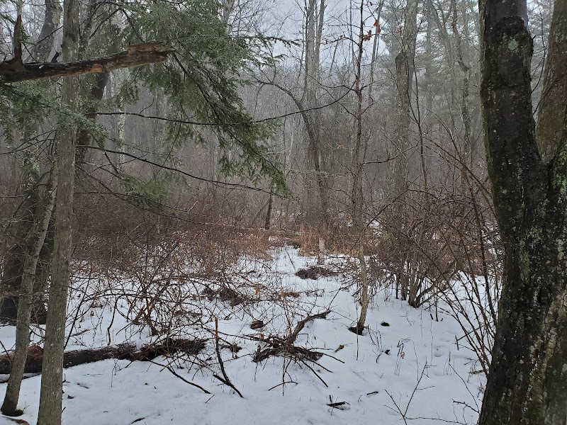Roskear Farm Open Space