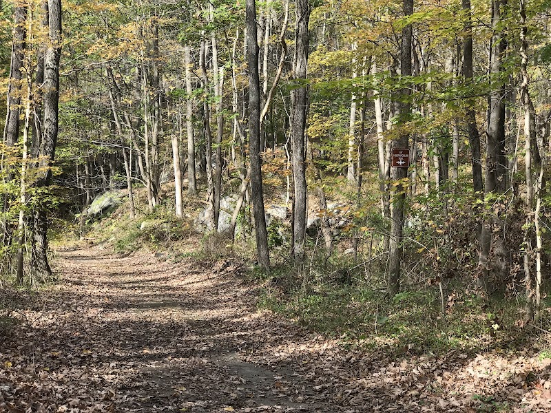 Wildcat Ridge Wildlife Management Area - Bat Hibernaculum Area