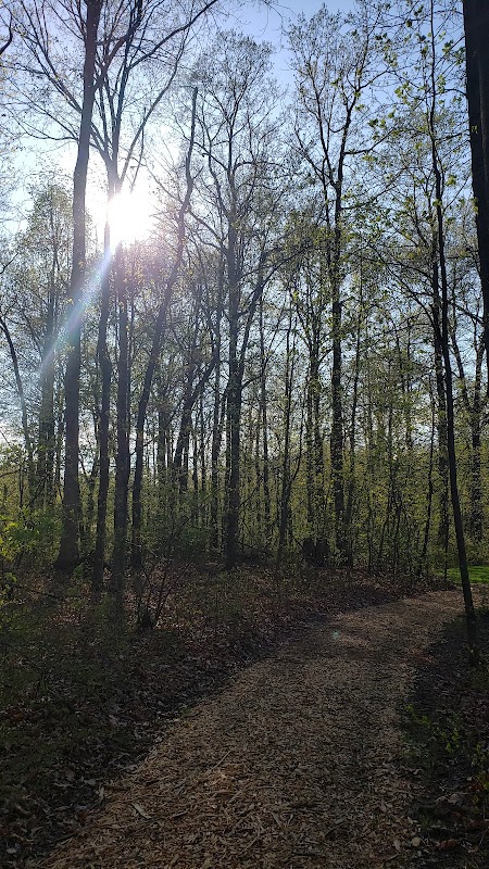 Longswamp Township Park