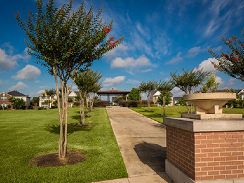 Central Park - City Park