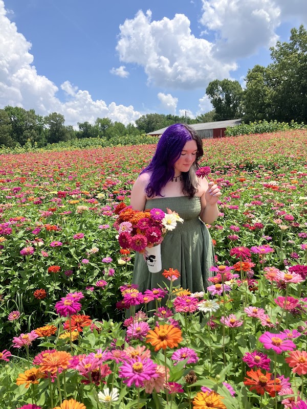 Old Brownsville Farms