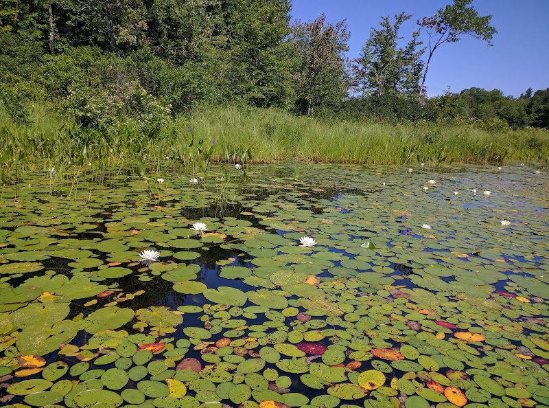 Mercer Bog Wildlife Management Area