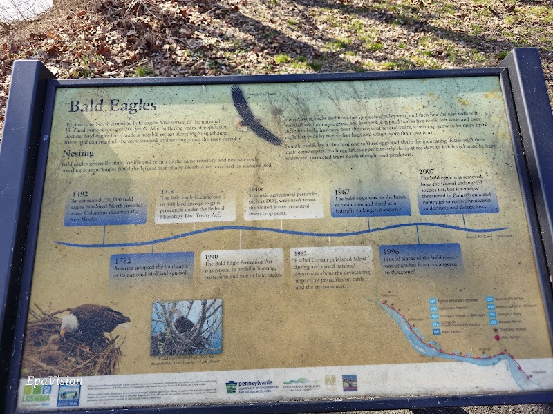 Eagle Viewing Platform