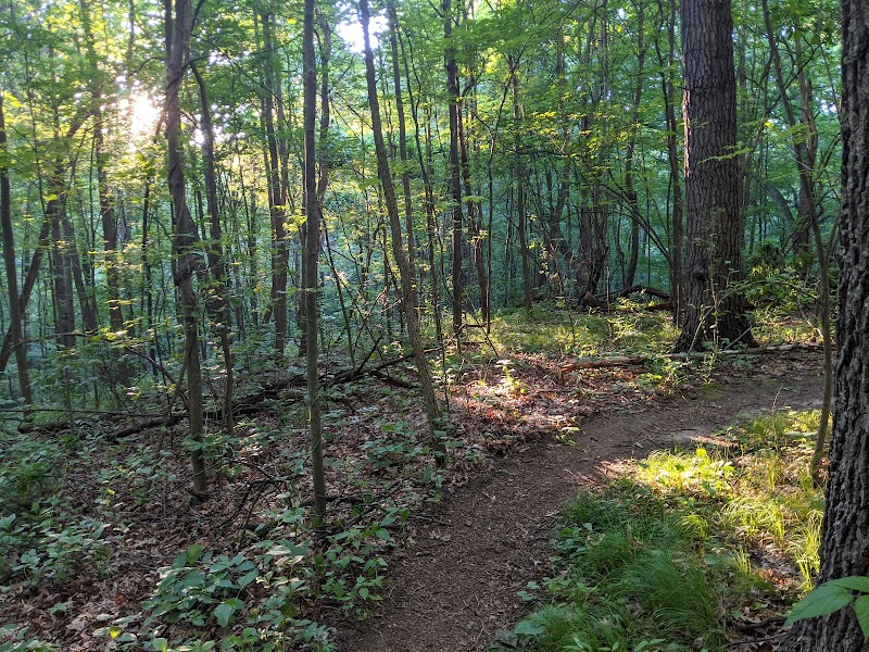 Highland Rec MTB