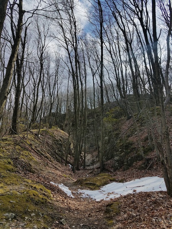 Welsh Mountain Nature Preserve