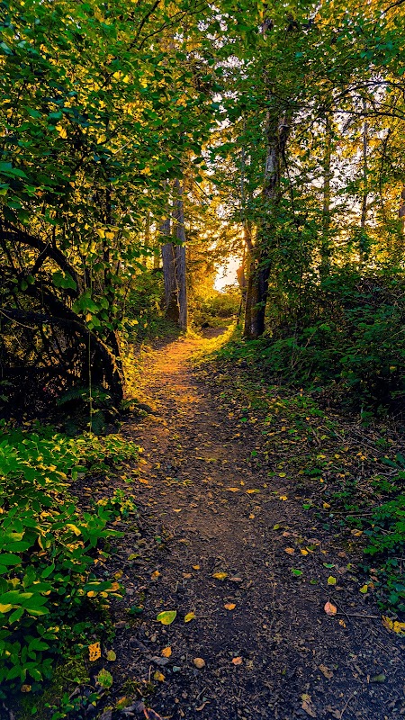 Pipeline Trail Parking