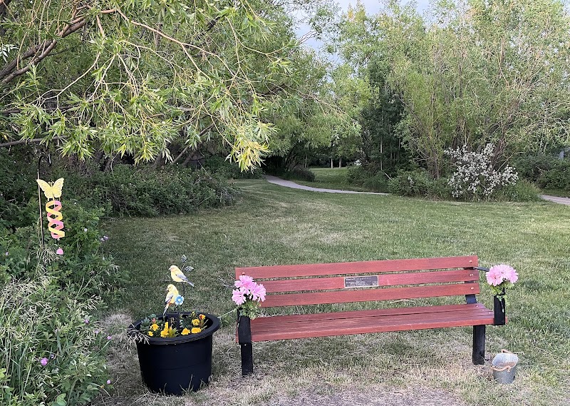 Judith’s Memorial Bench