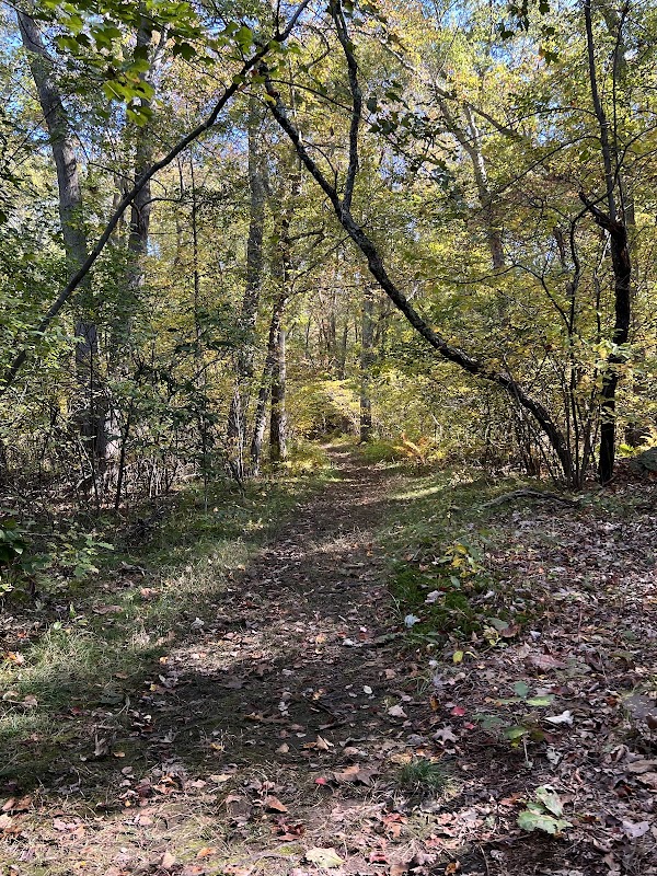 Berkley State Forest