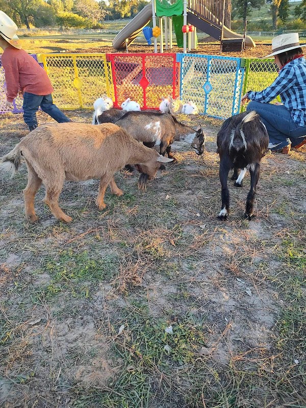 Bonded Oak Mobile Petting Zoo & Pony Rides