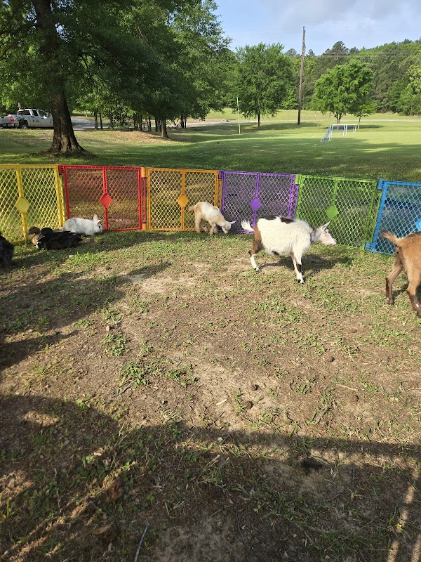 Bonded Oak Mobile Petting Zoo & Pony Rides
