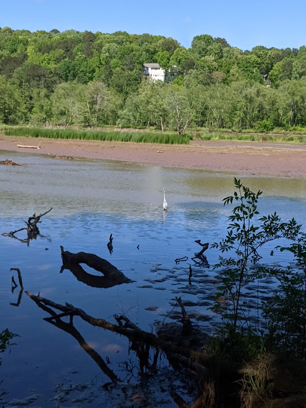 Gold Branch Trailhead