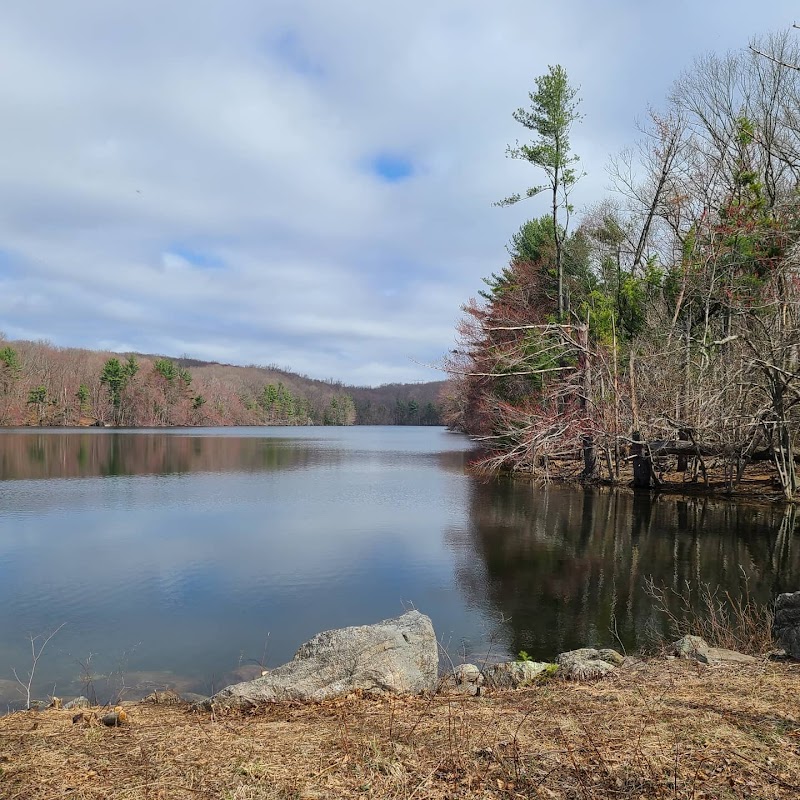 Naugatuck State Forest