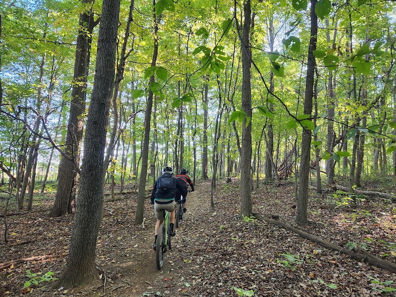 Little Bennett Regional Park