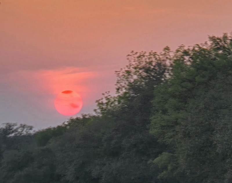 Northwest Crossing Association Dover Ridge Nature Park