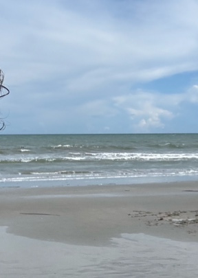 Isle of Palms Beach Access 15