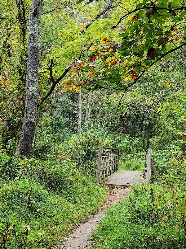 Great Seneca Stream Valley Park