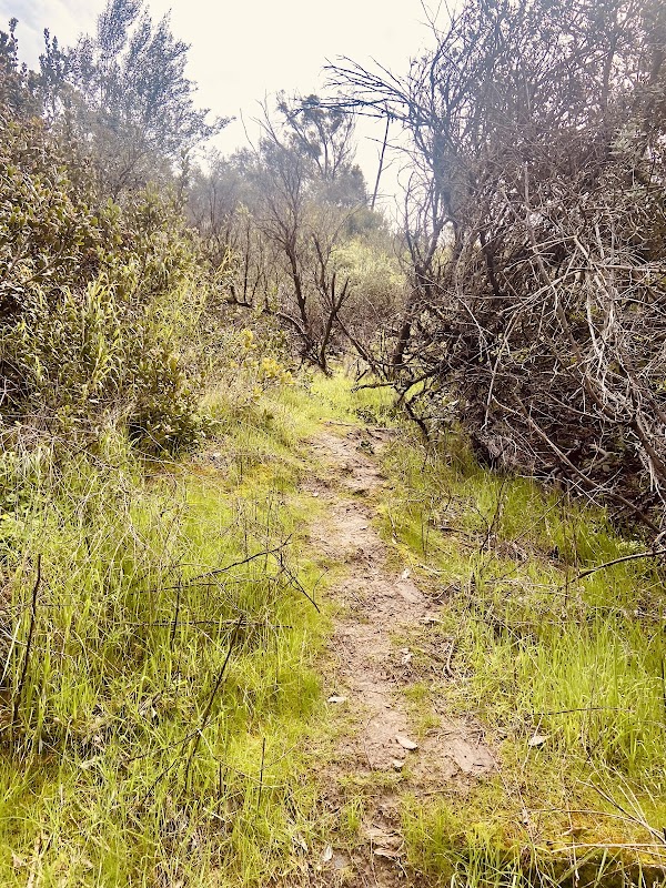 Upper Radio Canyon Open Space