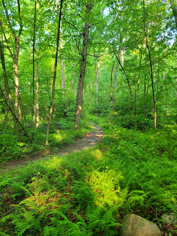 Inman Hill Wildlife Conservation Area