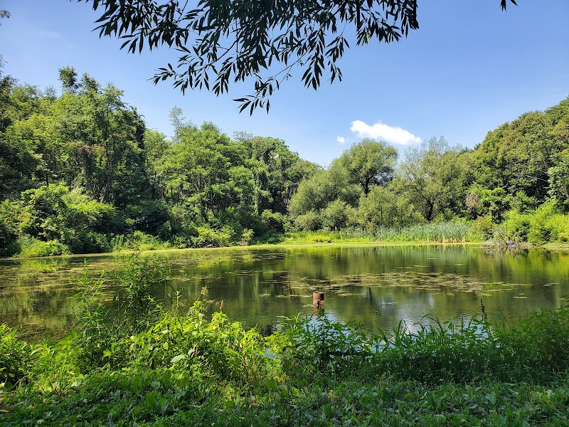 The Ponds at Apple Park