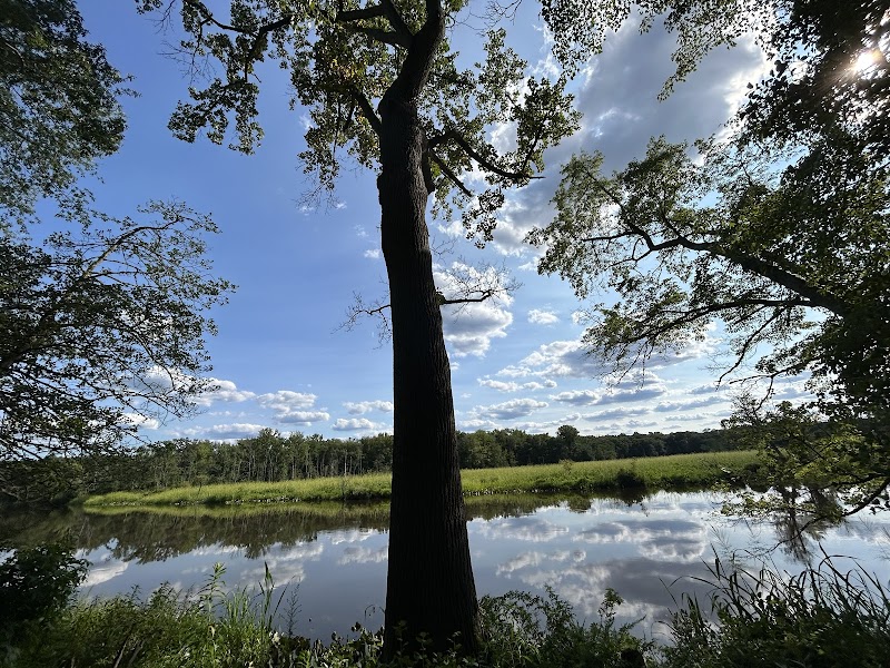 Rancocas Woods Trails