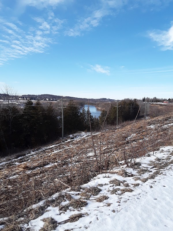 Grand River Lookout