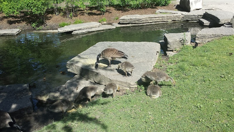 Lagoon