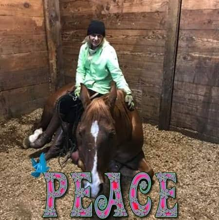 Arlington Equestrian Center