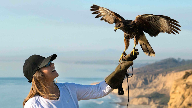 Total Raptor eXperience