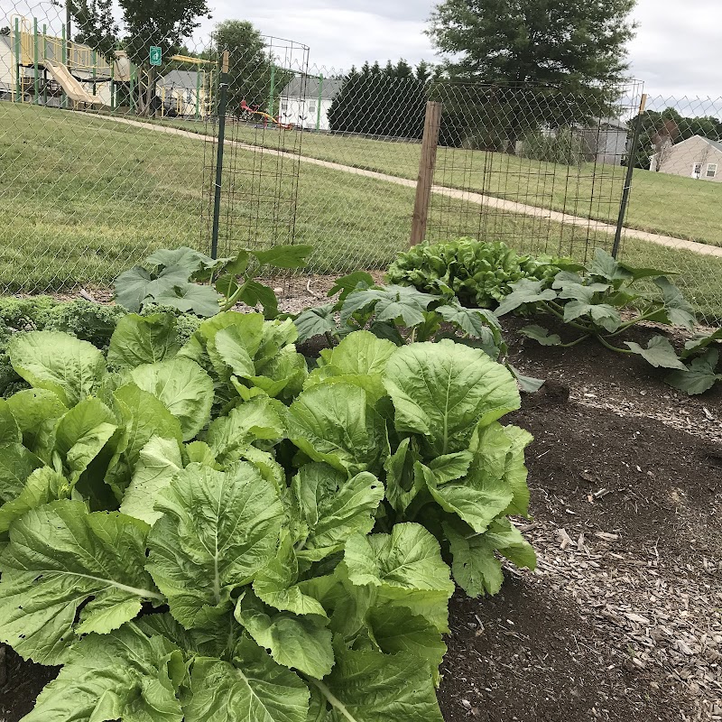Ridgefield Community Garden