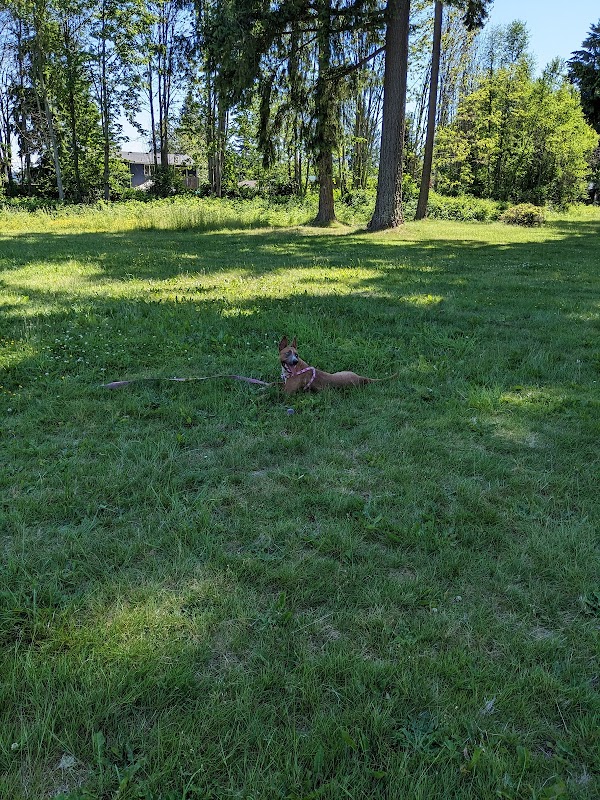 Community Park