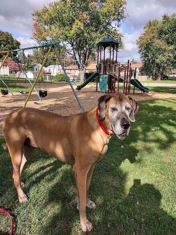 DeGuy Avenue Playground