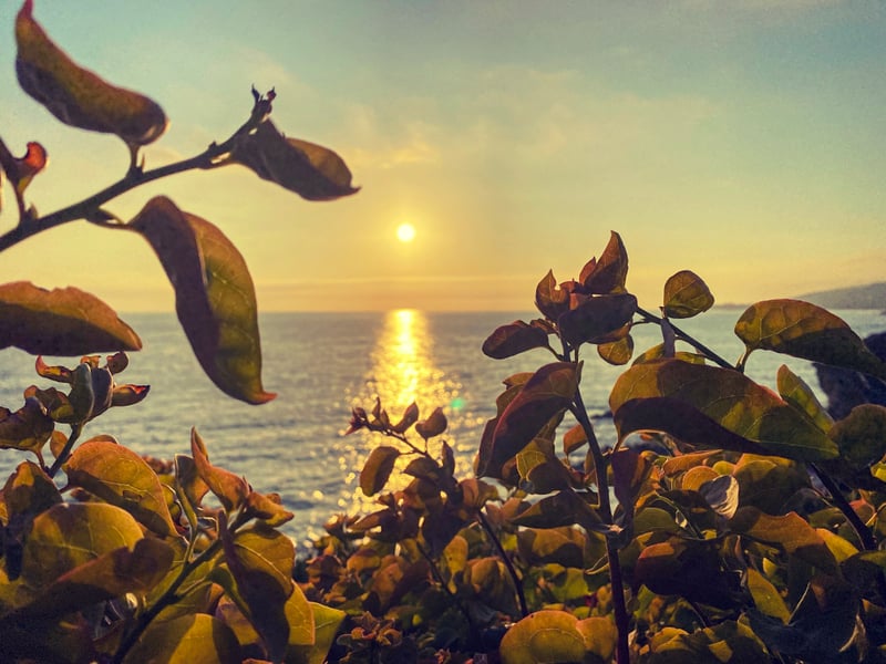Treasure Island Park